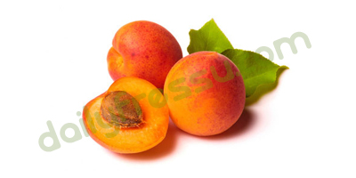Apricot