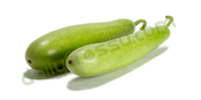Bottle Gourd