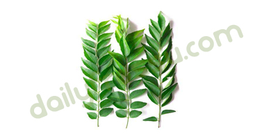 Curry Leaf
