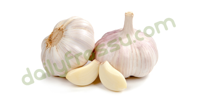Garlic