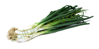 Green Onion