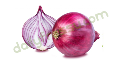 Onion