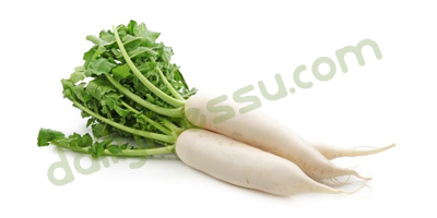 Radish