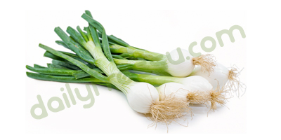 Spring Onion