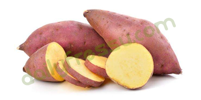 Sweet Potato